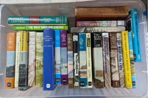 Todmorden_Market_Train-Books