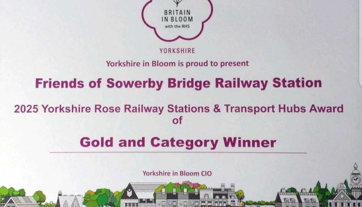 556084302_801581895834274_1262022906347561040_n