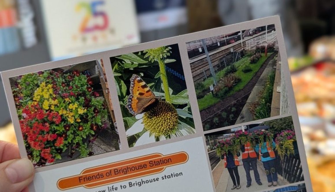 500969313_122127396704774397_6224602210097131047_n