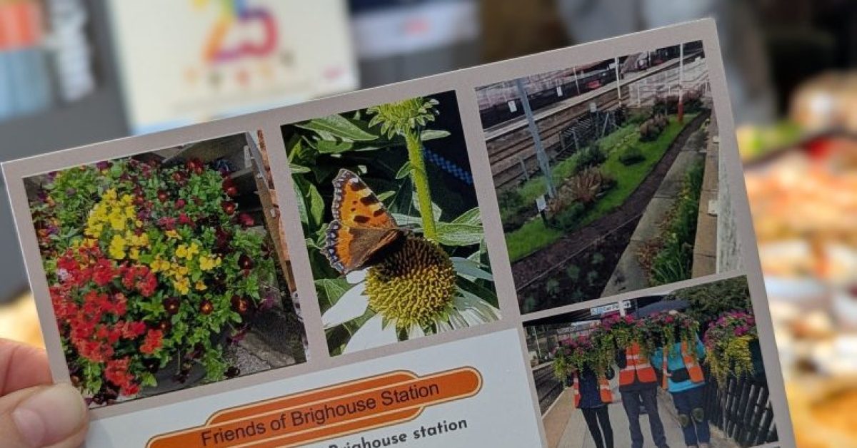 500969313_122127396704774397_6224602210097131047_n