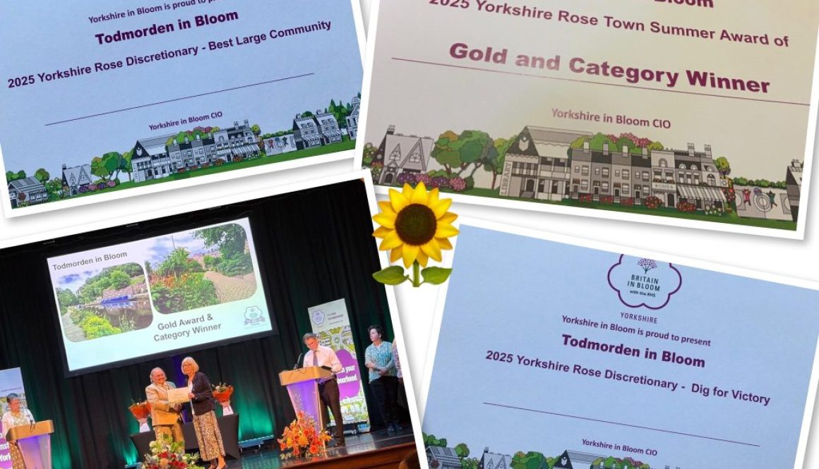 554395127_1105386738440940_7612557157806211858_n