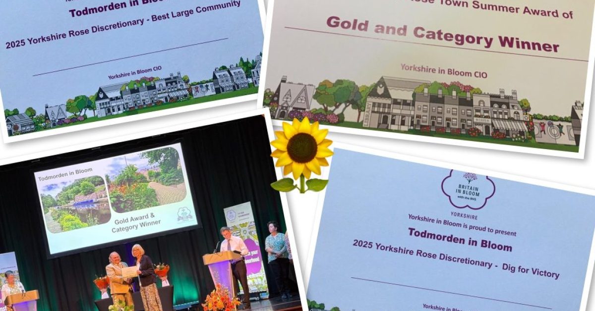 554395127_1105386738440940_7612557157806211858_n