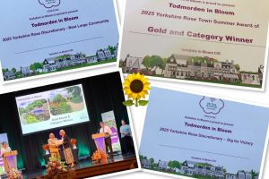 554395127_1105386738440940_7612557157806211858_n