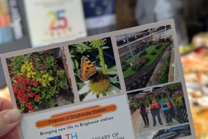 500969313_122127396704774397_6224602210097131047_n 500969313_122127396704774397_6224602210097131047_n